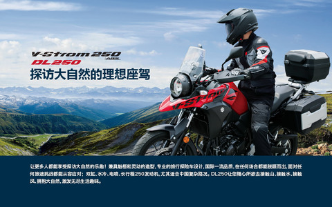 DL250-LD-1