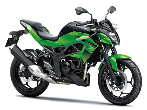 16BR250E_AGRNDRF3CG (1)