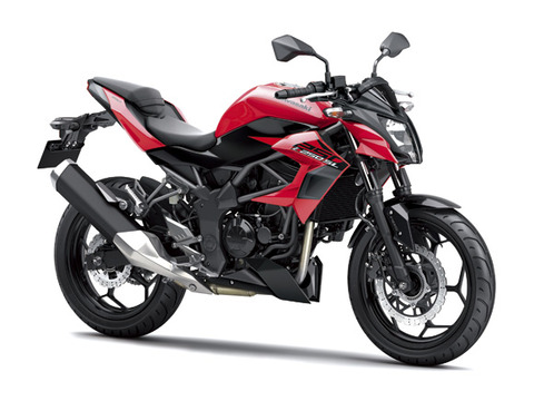 17_BR250F_RD1_RF