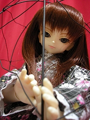 画像 356