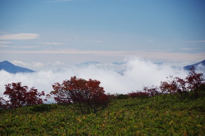 IMGP8815 紅葉