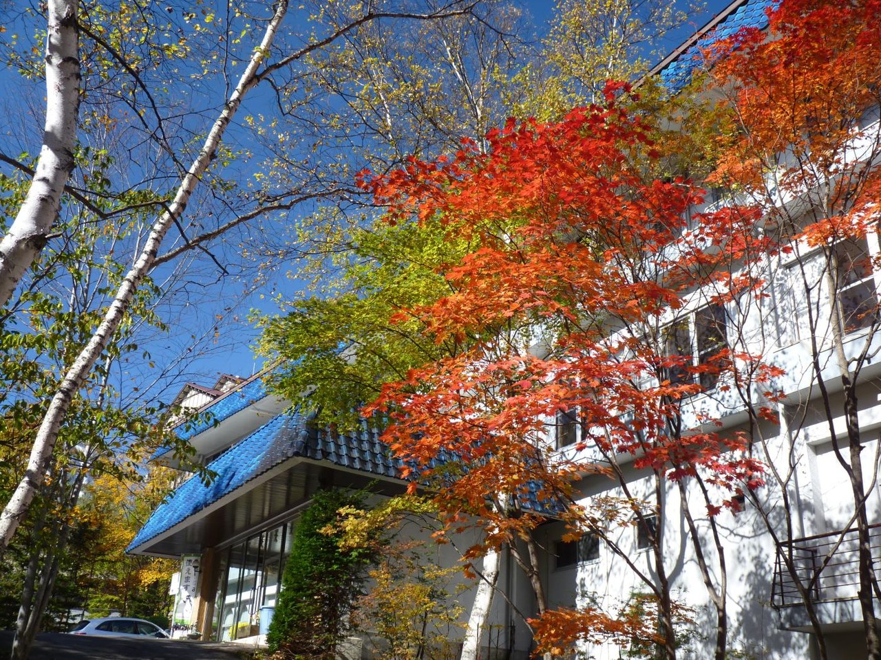 P1050938　紅葉