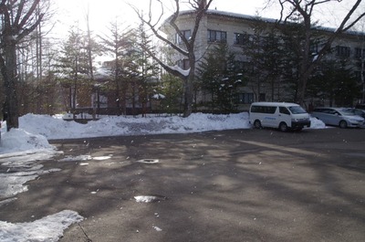 IMGP3162 雪