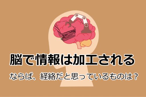 脳で情報は加工される_512