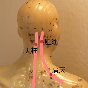 天柱風池