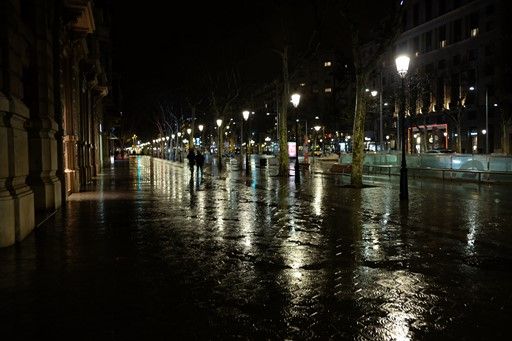 s-DSCF6313