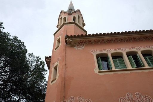s-DSCF6547