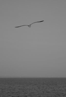 DSCF3711