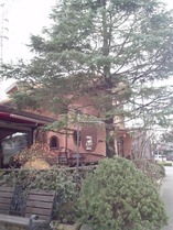 DCIM0161