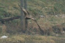 IMG_20180210_155601