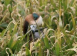 IMG_20180210_153814