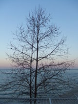 9c9c8e26.JPG