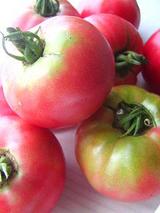 ���餭�����ȥޥ�