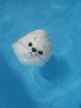 cbcf1ef7.JPG