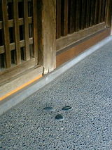 e0858242.JPG