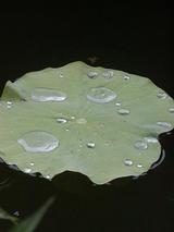 e9696eb7.JPG
