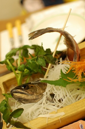 養老牛12