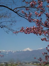 DSCN0609