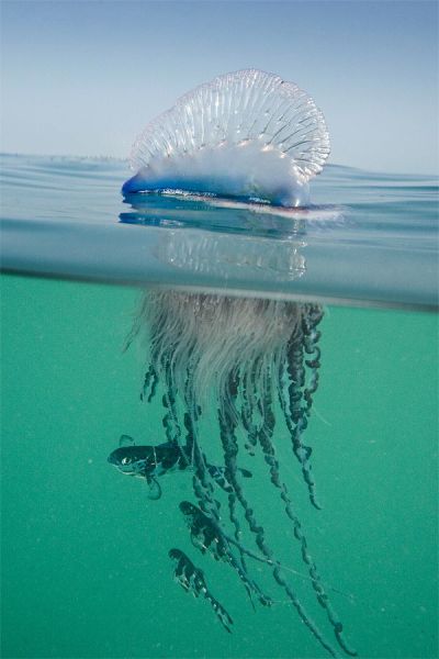 daily_picdump_654_640_75
