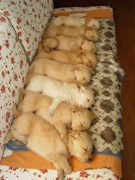 morning_picdump_26_640_22
