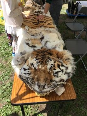 四季の森公園まつり