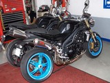 �饤����������ֹ�Ȥ����ο���