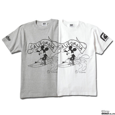 rvmickey2013a_1