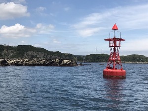 IMG_5309
