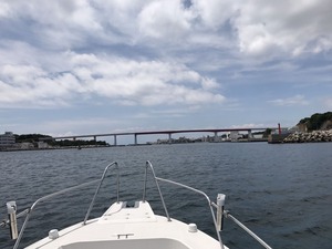IMG_5258