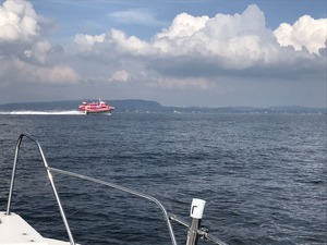 IMG_5308