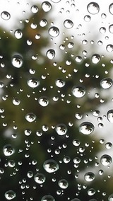rainy