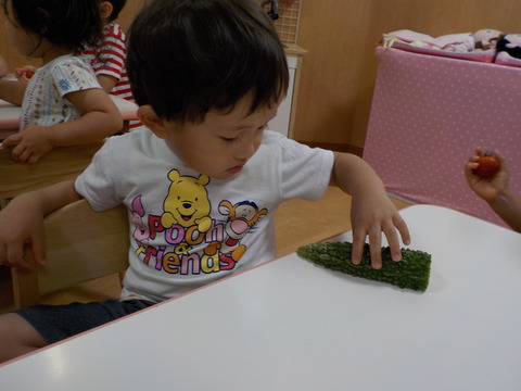 DSCN4115
