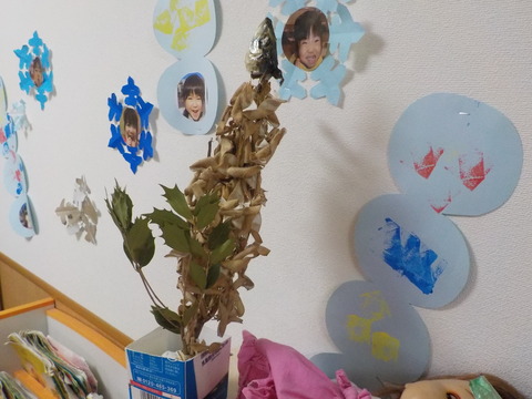 DSCN1539