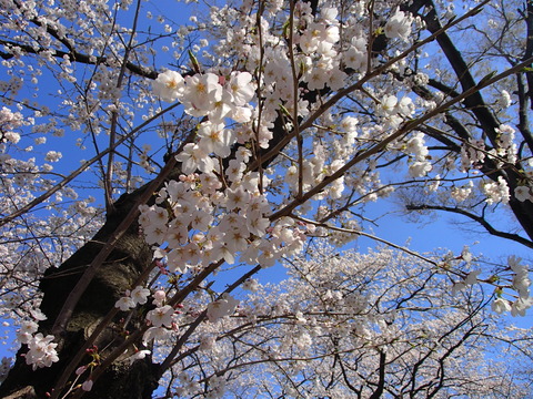 P3310098