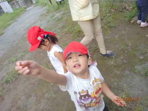 P9150045
