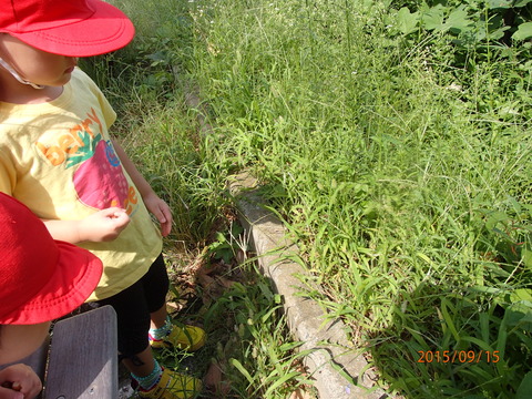 P9150053