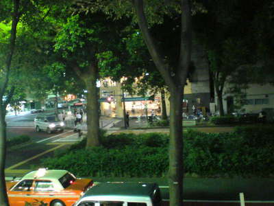 kusamakura2