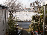 初雪