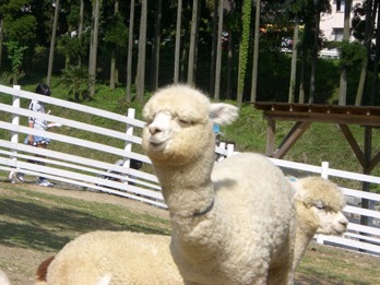 CIMG0794