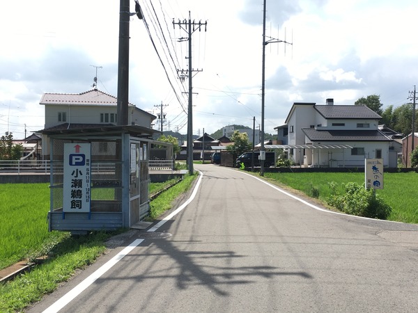 途中案内看板があります。