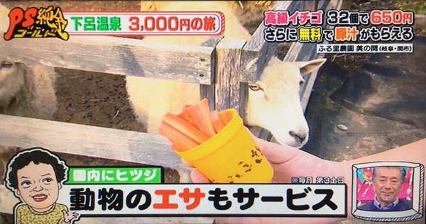 ふる里農園美の関(PS純金(ゴールド)|中京テレビ⑧