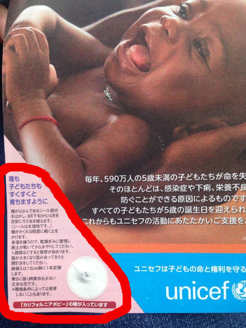 BlogPaint