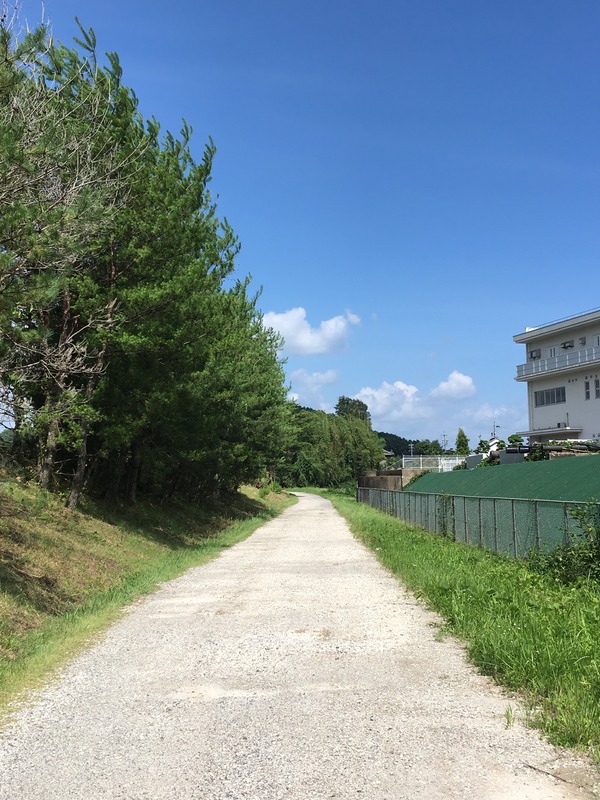 小瀬鵜飼駐車場までまっすぐの砂利道。