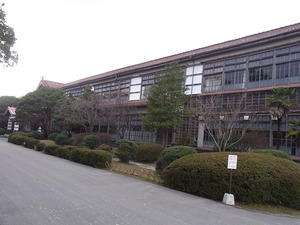 RIMG0287