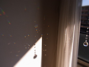 RIMG0007