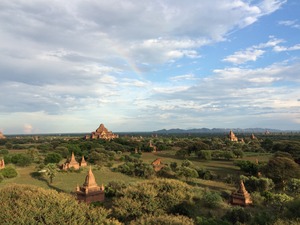 IMG_0528