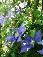 DSCN0082_1
