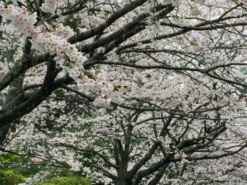 20170427a