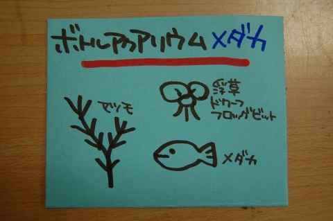 5516c5d1.jpg