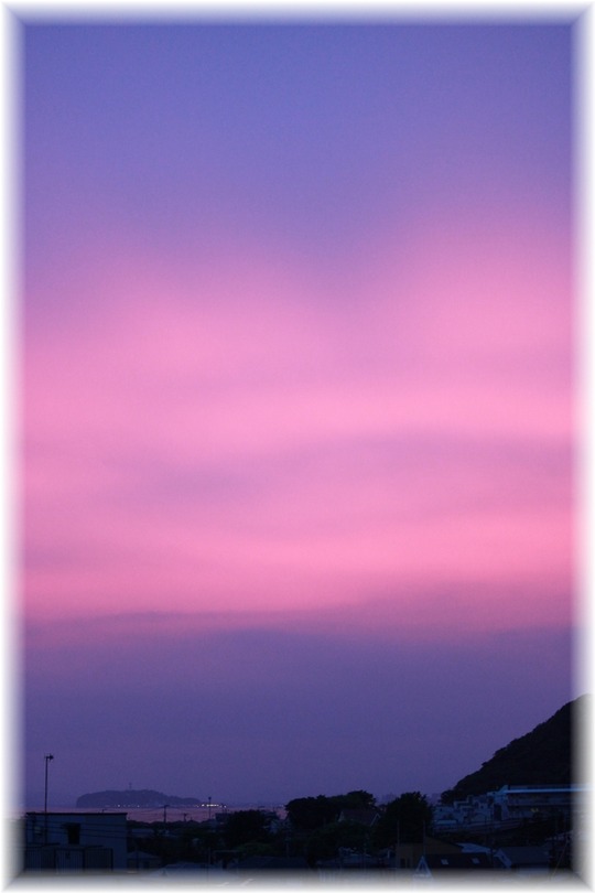 1aykogIMG_3681